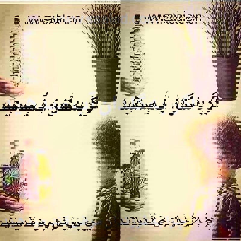 رژیم و آسیب به مغز