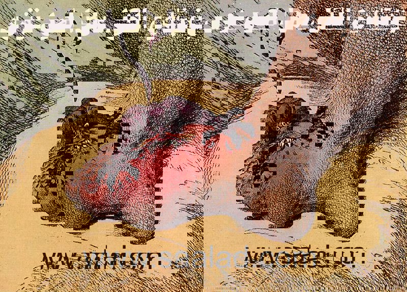 چگونه نقرس را پیشگیری کنیم و درد آن را کاهش دهیم؟