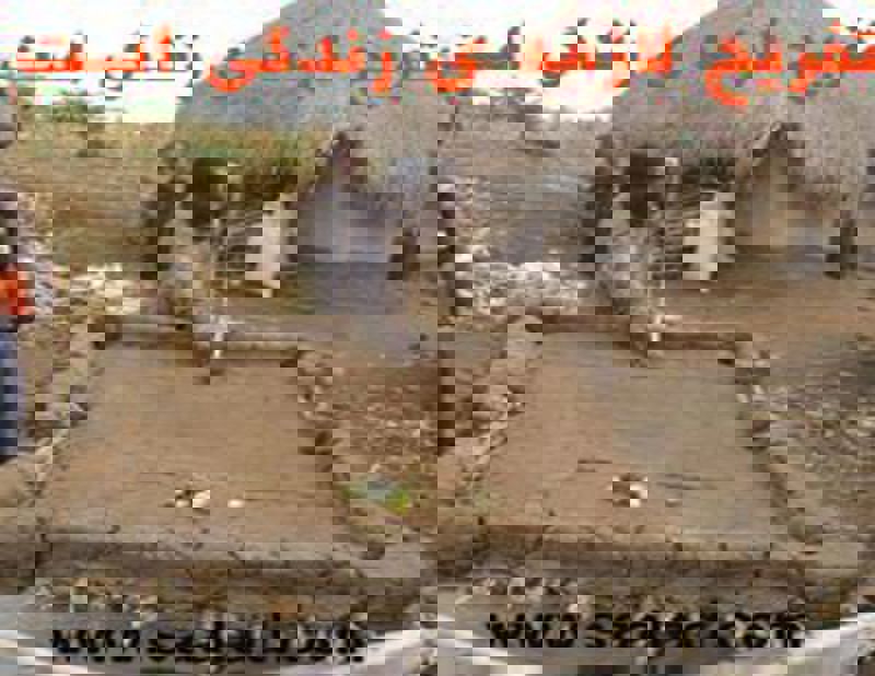 پیاده‌روی: یکی از ساده‌ترین و مؤثرترین ورزش‌ها برای تقویت مغز است