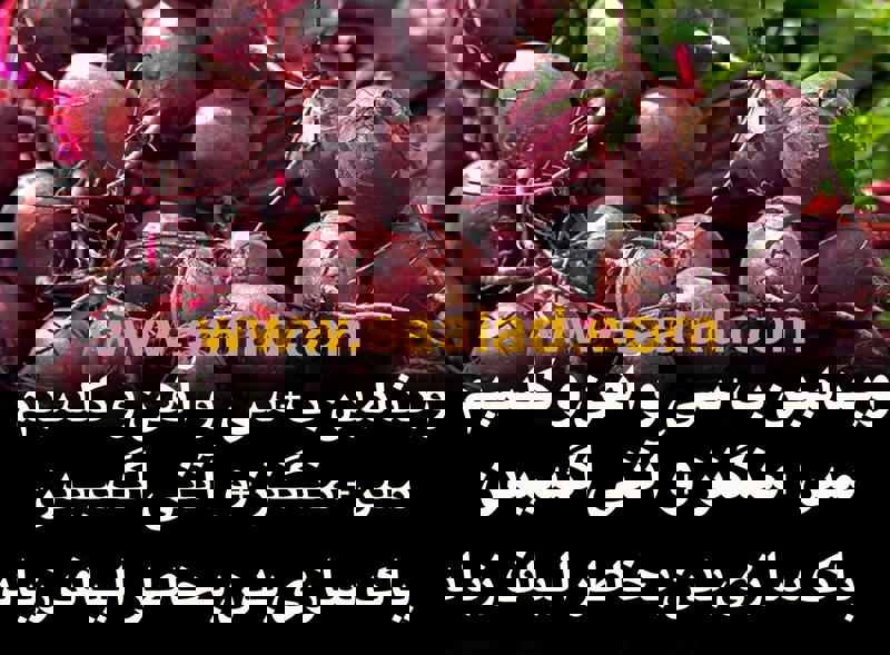 خوردن لبو و طول عمر