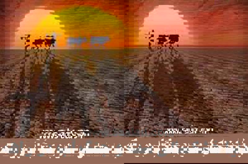 جنگ آب آشامیدنی بین یزد و اصفهان به دلیل قطع شدن آب در ۹ شهر و مصادف‌شدن این موضوع با روزهای نوروز، شدید شده است.