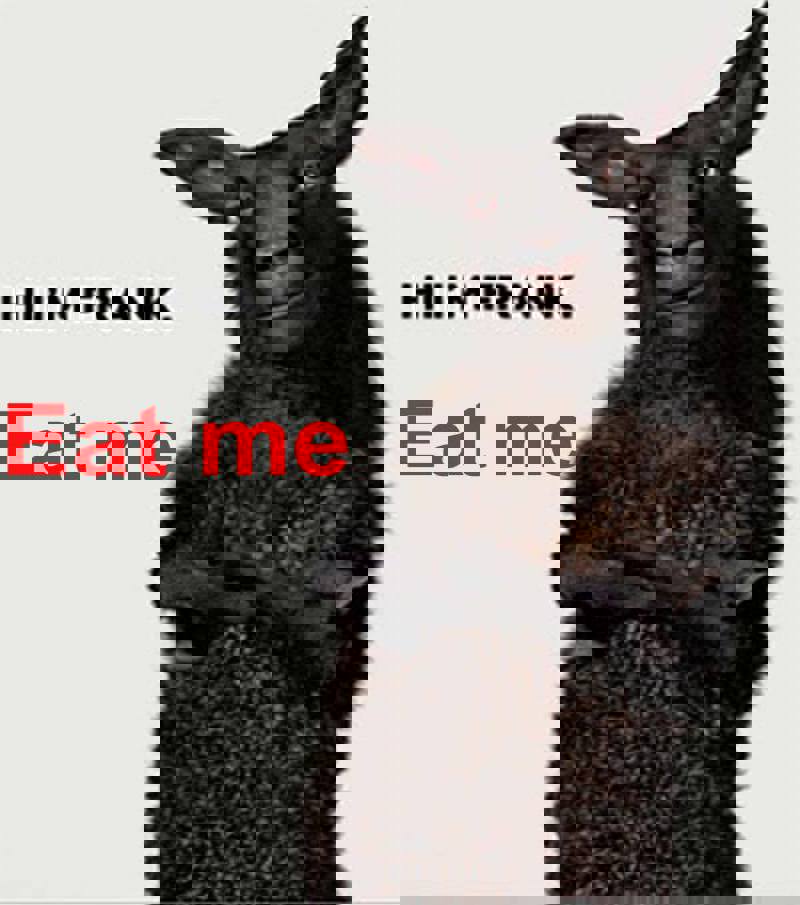 گوشت های قرمز موجود در بازار جهان آلوده هستند