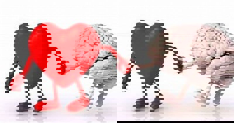  قلب خون را در سرتاسر بدن پمپاژ می کند و اکسیژن و مواد مغذی را برای هر اندام اصلی تامین می کند. مغز مرکز فرماندهی است