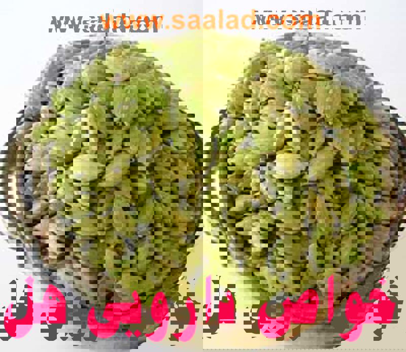 هل، به عنوان یک ادویه معطر و پرخاصیت، فراتر از عطر و طعم دلپذیرش در آشپزی