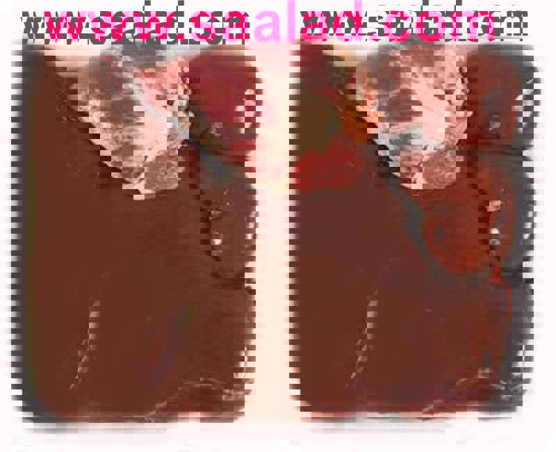 در سن پنجاه ببالا ازدل و جگر حیوانات را نخوریم زیرا دچار پیری زود رس میشویم