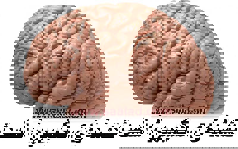 رساندن اکسیژن به مغز یک ایده جالب است که می‌تواند به بهبود عملکرد مغز و کاهش علائم کمبود اکسیژن کمک کند.