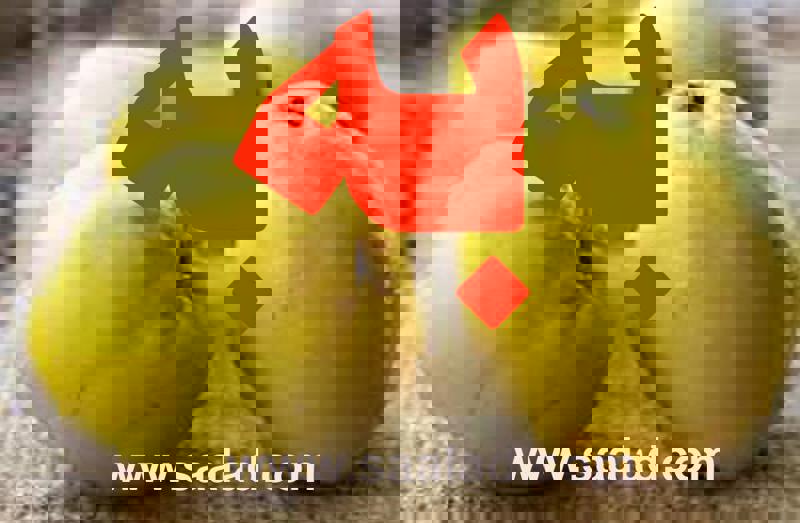 به میوه ی بهشتی