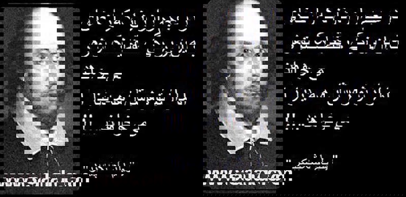 زیاده خواهی انسانها سر چشمه اش چیست