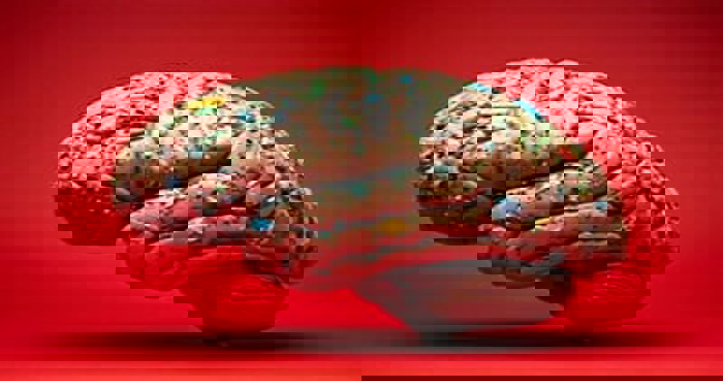 اثر ریز پلاستیک ها بر مغز انسان