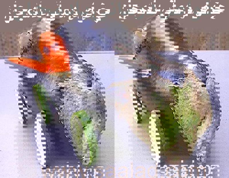 خواص درمانی بادمجان