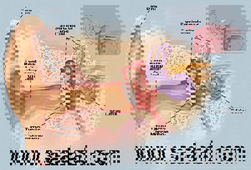 جرم گوش را پاك نكنيد