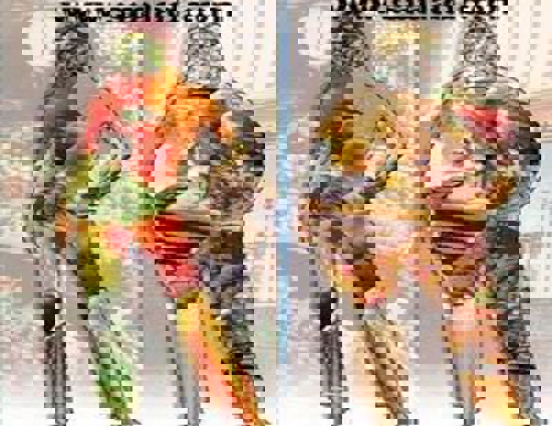 برای مصرف مواد غذایی مناسب بدن، می‌توانید به موارد زیر توجه کنید