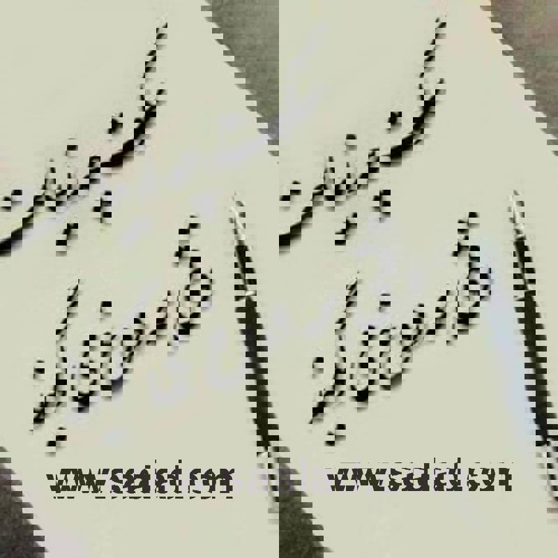 فواید باورنکردنی سکوت برای مغز ، بدن و روان انسان