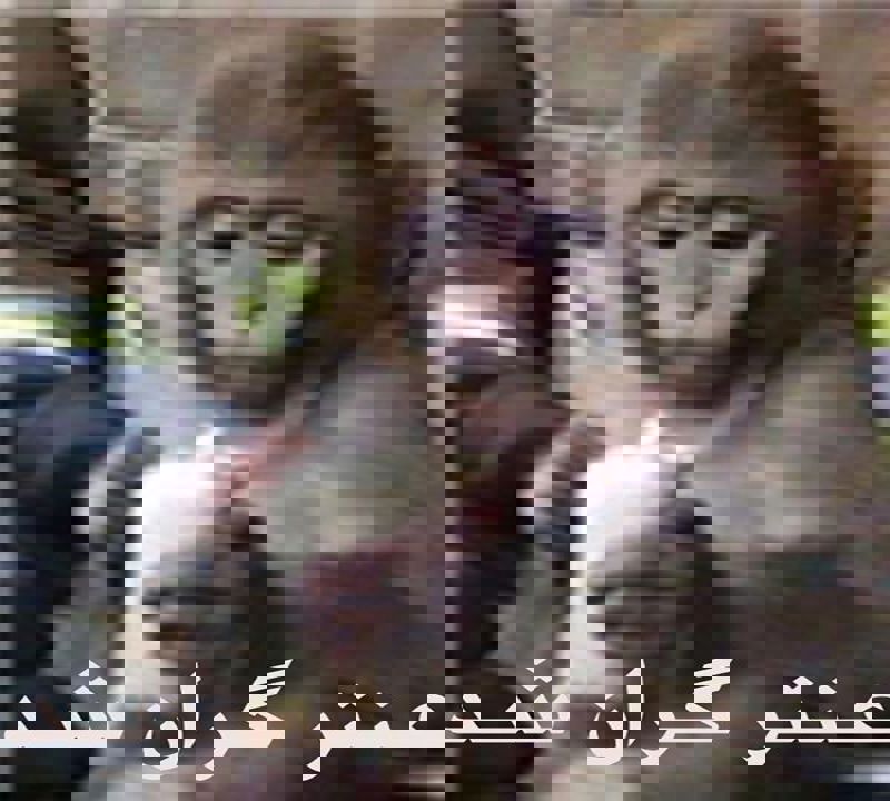 هر چه هستم باید خودم باشم
