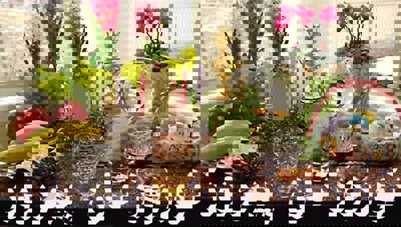 نوروز در ایران باستان به پیشینه، مراسم و رویدادهای مربوط به نوروز در ایران باستان می‌پردازد