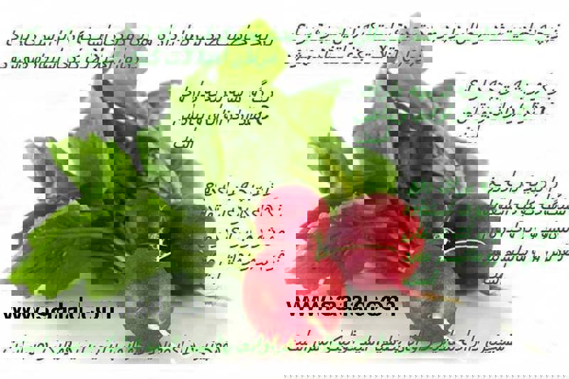 خواص درمان ترب