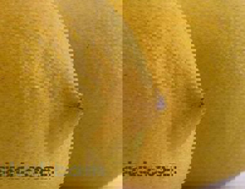 خرمالو با طعم خوشمزه و رنگ جذاب خود، به عنوان یک میوه محبوب و پرطرفدار محسوب می‌شود