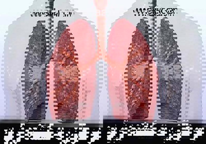 سلامت ریه‌ها برای حفظ زندگی بهتر و کاهش خطر بیماری‌های تنفسی ضروری است.