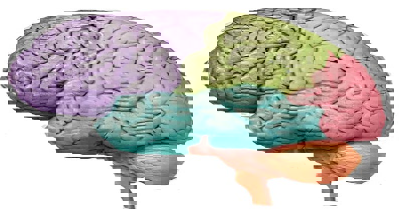 رابطه انرژی مغز و اختلال قند خون به شدت مرتبط است