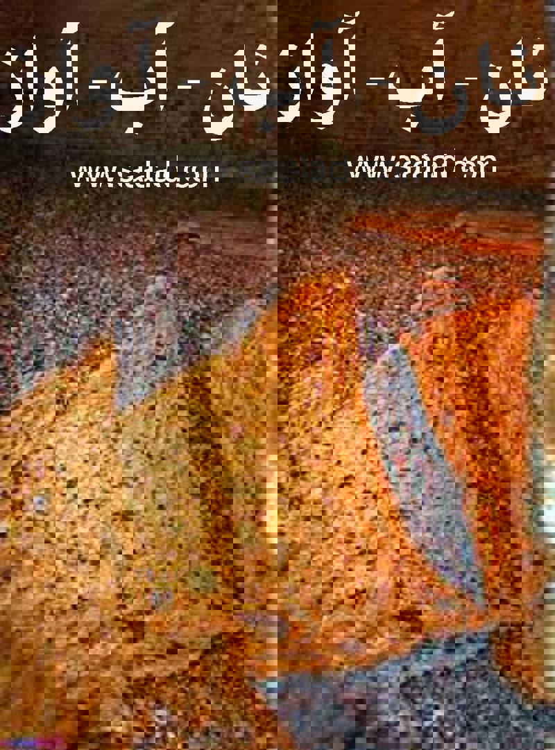 قدرت تفکر خارج از چارچوب مغز