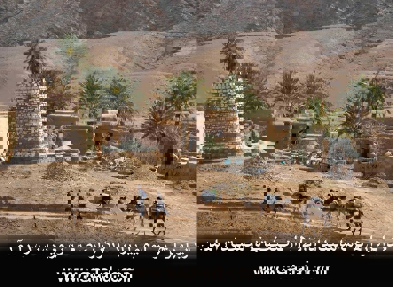 ایران جهانی در یک مرز 