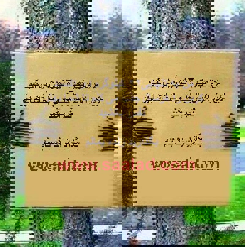 درخت ها شش جامعه هستند