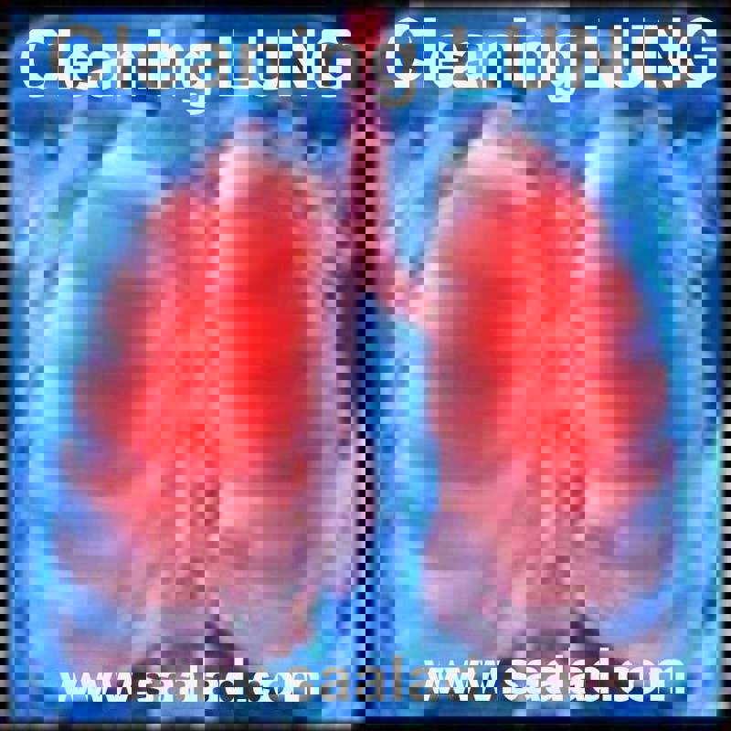 با هوای بد و آلوده ریه و شش ها را چگونه تمیز نماییم