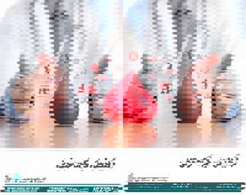 خون در انسان ۵ لیتر از حجم بدن را به خود اختصاص داده است. ترکیبات خونی در انسان‌های مختلف متفاوت است