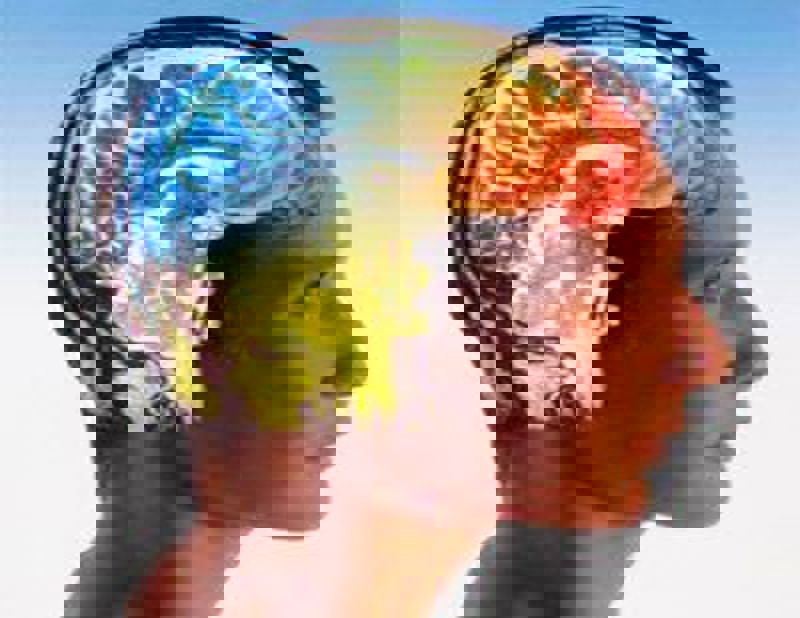 نورون ها چگونه پیام می فرستند و پیام دریافت می کنند؟ ارتباط مغز و بدن!