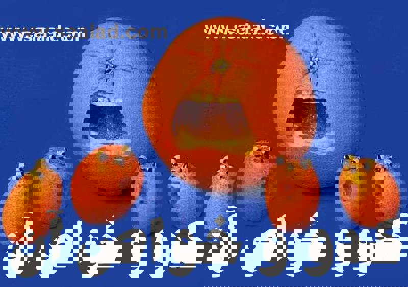 خواص تخم کدو تنبل و ارزش غذایی این خوشمزه مفید وقتی کدو تنبل می‏ خورید، تخمه های آن را دور نریزید