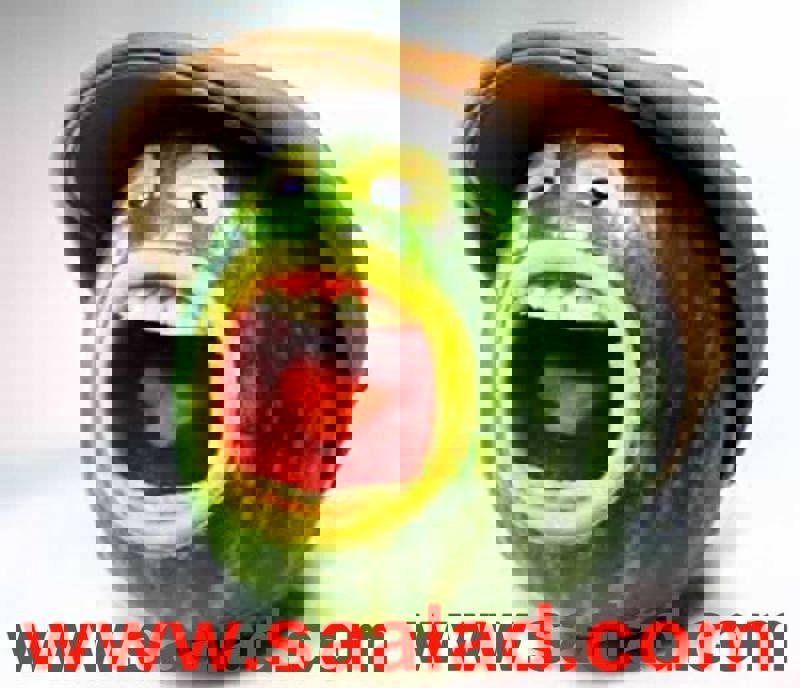 میوه‌ها از مهم‌ترین اجزای یک رژیم غذایی سالم هستند که سرشار از ویتامین‌ها، مواد معدنی، آنتی‌اکسیدان‌ها و فیبر می‌باشند. 