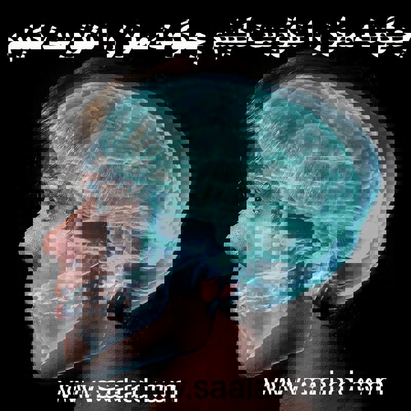 همه انسان‌ها نیازهای بیولوژیکی اساسی برای بقا، مانند غذا، آب و خواب، و همچنین تجربه احساساتی مانند شادی و غم،