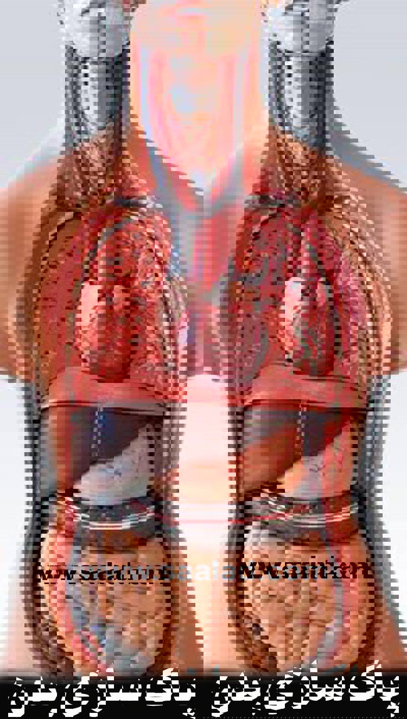 روده یکی از مهم ترین اعضای بدن است که باید برای پاکسازی و حفظ سلامت روده ها تغذیه و رژیم غذایی سالم