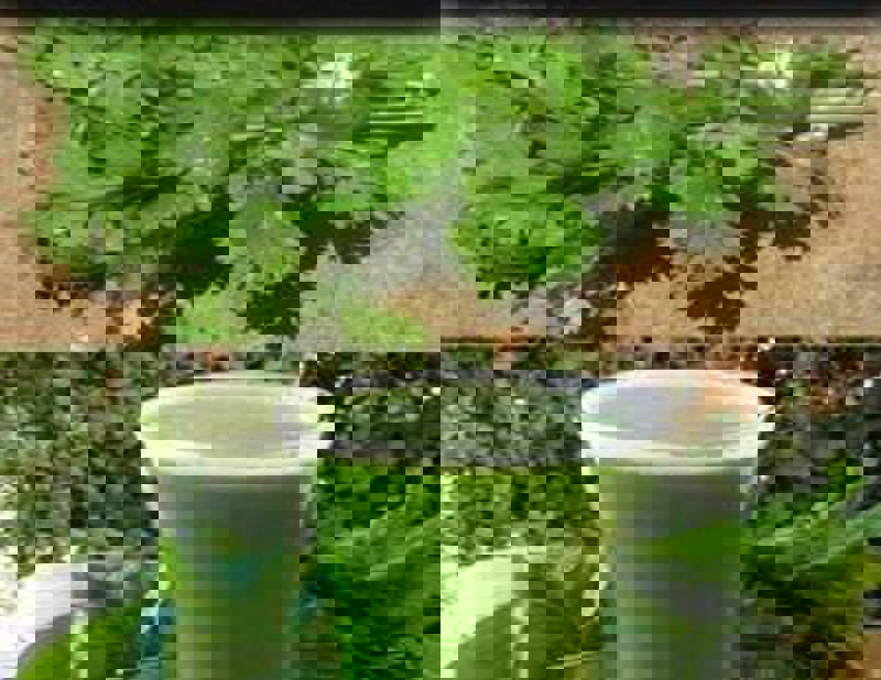 خواص جعفری برای زنان