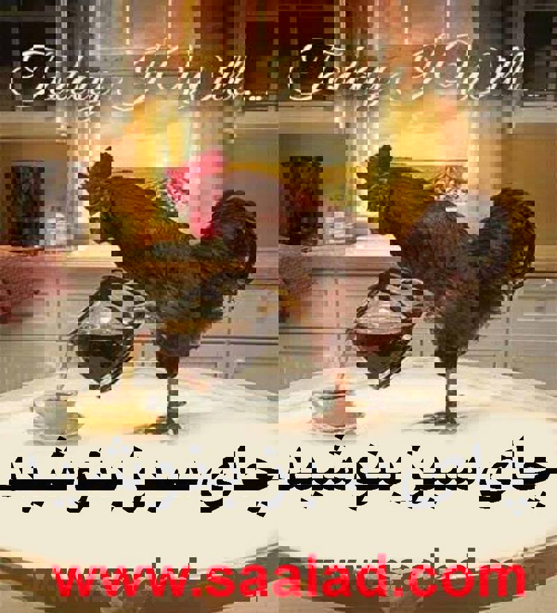 چای سبز و فواید آن