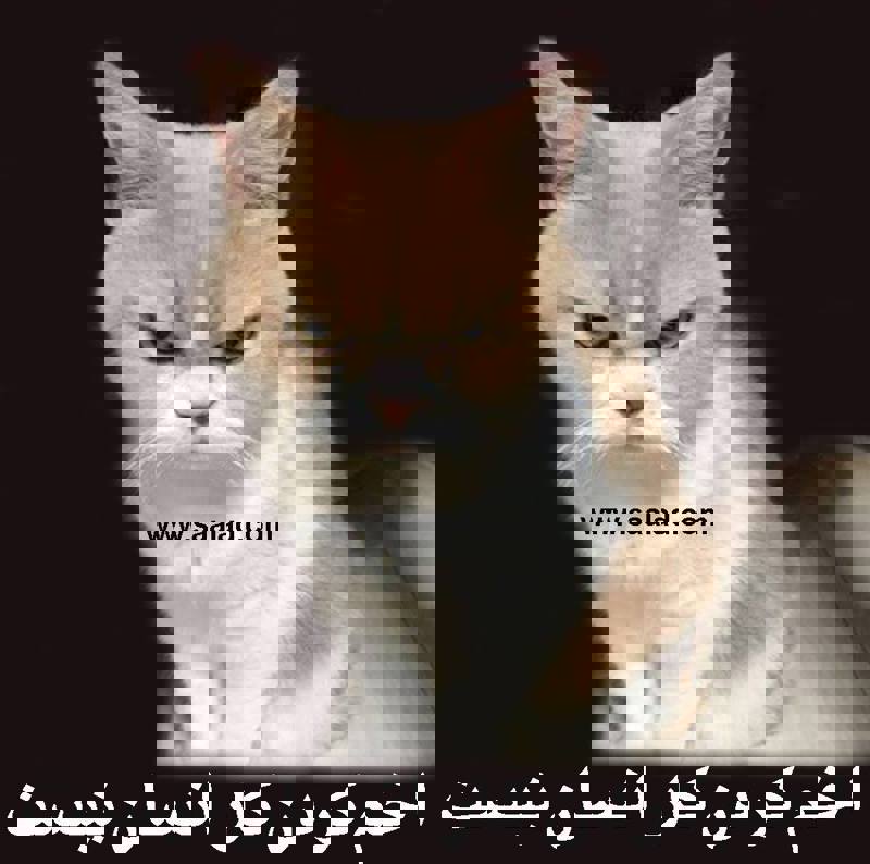 مغز مرکز کنترل بدن شماست که رشد، تکامل و عملکرد های بدن را تنظیم می کند