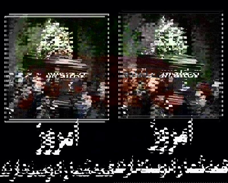 خواب سلولهای مغز مارا ترمیم مینماید