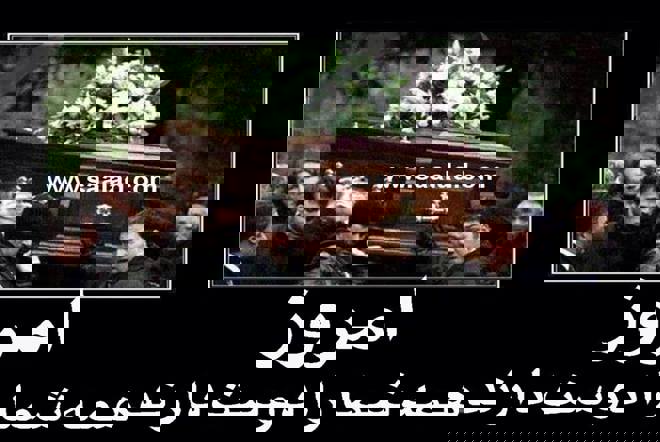 خواب سلولهای مغز مارا ترمیم مینماید